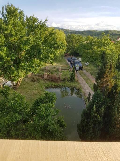 Cabana Mare In Intimitate Si Liniste Bosorod Exterior foto